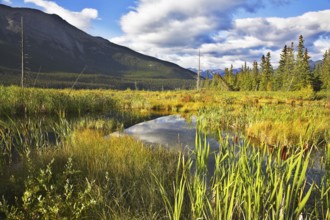 Fine Mellow autumn in reserve of Northern Canada