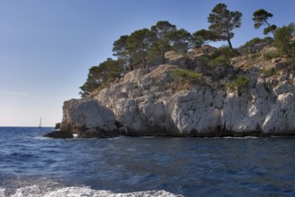 Picturesque rocks and trees in a gulf near Kassis town