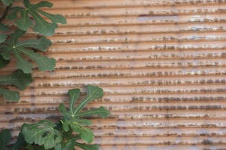 Old rusty corroded metal as abstract background texture