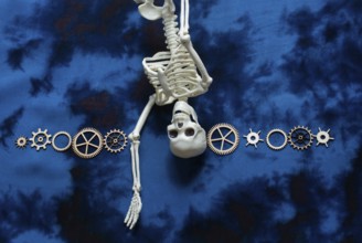 Wooden cogwheels and a artificial skeleton on fabric as concept