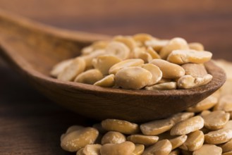 Broad bean dry on wooden table