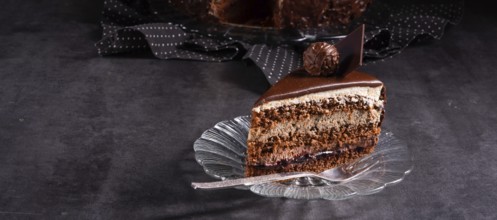 Chocolate cake Airy biscuits and a cream of cream and chocolate