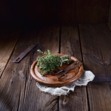Thyme (Thymus vulgaris)