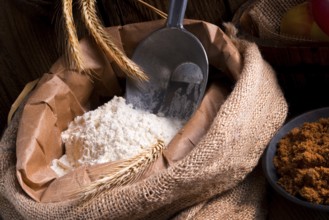 Bag with flour