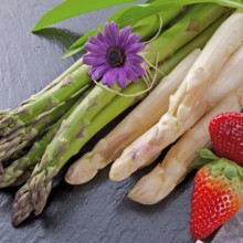 Spargel