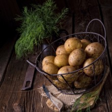New small potatoes
