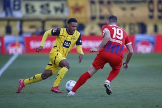 Germany: Soccer 1st Bundesliga, Matchday 20 - 1. FC Heidenheim vs. Borussia Dortmund - Voith-Arena