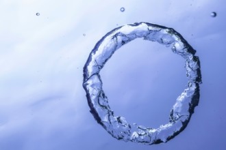 Underwater Bubble Ring Ascends towards the Sun