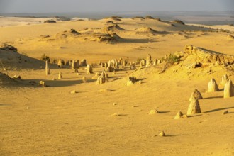 An image of the beautiful Pinnacles Desert in western Australia