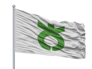 Daito City Flag On Flagpole, Country Japan, Osaka Prefecture, Isolated On White Background