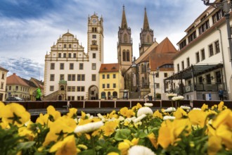 Neumarkt of Oschatz in spring 2