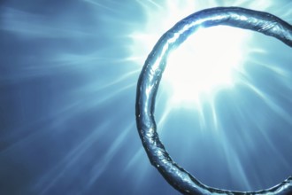 Bubble Ring Underwater ascends towards the Sun