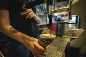 Drinking black beer, the Akahista bar, -Tin Pub -, Ahakista, Sheep's Head Peninsula, County Cork,
