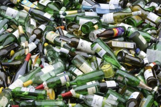 Removal of green used glass bottles in Cologne Ehrenfeld