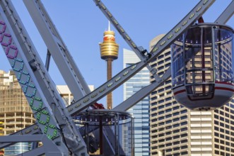 The Darling Harbour Ferris Wheel and the Sydney Tower, Sydney, NSW, Australia