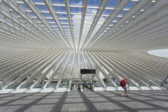 Liège-Guillemins train station by architect Santiago Calatrava, Liege, Belgium