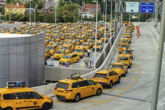 Yellow taxi cabs wait in line at LaGuardia Airport before picking up their fares