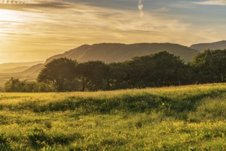Evening light over the Yorkshire Dales near Settle, North Yorkshire, England, UK