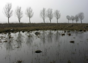 Foggy weather on the German island of Fehmarn