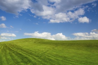 On a empty golf course in spring day