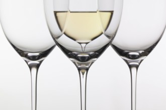 Four glasses of wine on the white background