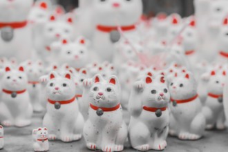 A lot of beckoning cat (Gotokuji). Shooting Location: Tokyo metropolitan area