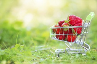 Trolley with a supermarket with strawberries on the green grass. Beautiful summer berries