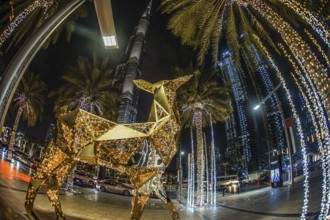 Arabian Knight in Dubai, United Arab Emirates. Shooting Location: Dubai