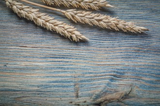 Golden wheat rye ears on wooden board top view