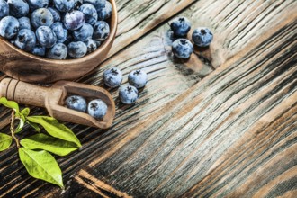 Ripe huckleberries in wooden spoon bowl