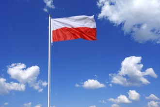 The flag of Poland flutters in the wind in a blue sky with white clouds