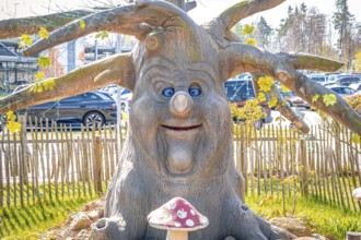 A talking tree on the Hexentanzplatz in Thale, Hexentanzplatz, Thale, Saxony-Anhalt, Germany