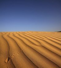 Footprint on sand dune in desert at evening