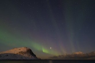 Northern Lights (Aurora borealis), Aurora Borealis, Lofoten, Norway