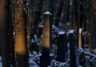Germany, Berlin, 28.11.2023, Weißensee Jewish Cemetery, Gravestones in the sunlight