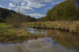 NSG Hafenlohrtal, Spessart