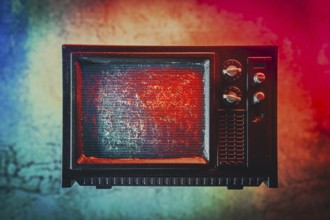 Miniature television