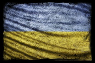 Ukraine Flag, Grunge Texture Background