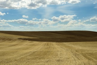 Agricultural land and blue sky