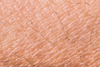 Texture of human skin. Extreme close up macro shot