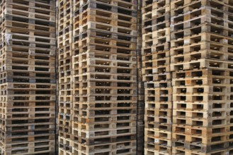Pallet