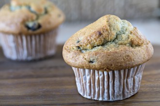 Blueberry cupcakes on a wooden board