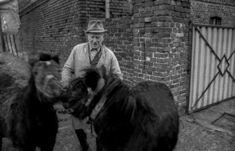 Germany, Kampehl, 01/02/1992, farmer with two horses, ponies, in Kampehl