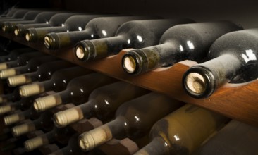 Wine bottles on shelf. Wine cellar. Close up wine bottles