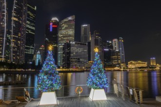 City centre skyline with Christmas trees, Marina Bay waterfront, Singapore, Singapore