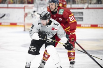 PSD Bank Dome, Düsseldorf, North Rhine-Westphalia, Maximilian Kammerer (Koelner Haie, #9), Brendan