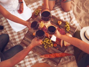 People drinking red wine outdoor. Summer picnic on the beach