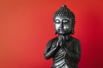 An image of a buddha statue sign for peace and wisdom