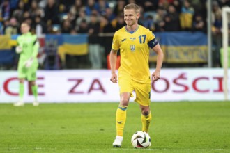 WROCLAW, POLAND - MARCH 26, 2024: Qualifications for UEFA Euro 2024. Final play-off match Ukraine -