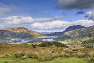 Landscape from Ladies View is a scenic viewpoint on the Ring of Kerry tourist route. Ireland